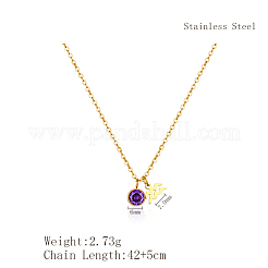 Stainless Steel Pace Purple Cubic Zirconia Birthstone Zodiac Aquarius Pendant Necklaces for Women&nbsp;ZA6688-3