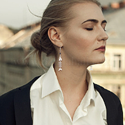 2 Pairs 2 Style Alloy Fishbone Long Dangle Eararings for Women&nbsp;EJEW-AN0002-53