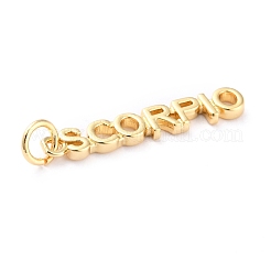 真鍮チャーム  丸カン付き  長持ちメッキ  星座/星座  ゴールドカラー  蠍座  蠍座：4x24x1.5mm  穴：3mm&nbsp;KK-J276-14F