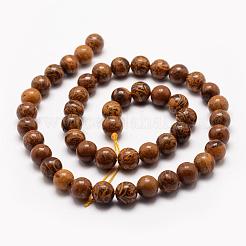 Natural Elephant Skin Jasper/Miriam Stone/Calligraphy Stone Beads Strands&nbsp;G-F512-6mm