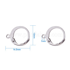 Tarnish Resistant 304 Stainless Steel Leverback Earring Findings&nbsp;STAS-I045-02