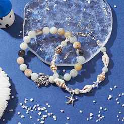 2Pcs 2 Style Natural Amazonite & Glass & Shell Stretch Bracelets with Tortoise&nbsp;BJEW-JB10091-01