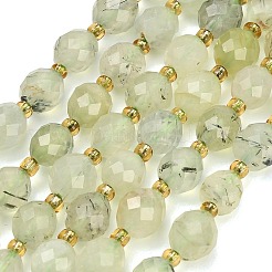Natural Prehnite Beads Strands&nbsp;GG-CBA4A3B-A11