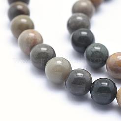 Natural Ocean Agate/Ocean Jasper Beads Strands&nbsp;G-G716-03-8mm