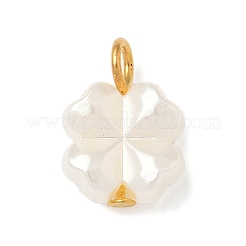Plastic Pearl Charms&nbsp;PALLOY-JF04027-02