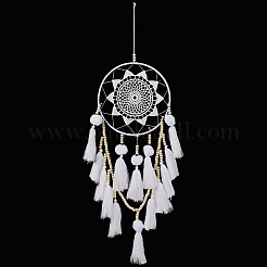 Woven Web/Net with Tassels Hanging Ornaments&nbsp;AJEW-WH20075-001B
