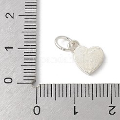 S925 Sterling Silver Pendant&nbsp;STER-H115-05A-S01