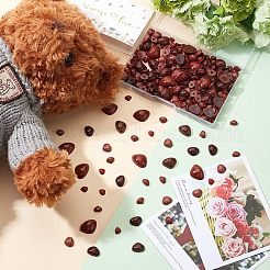 350種類のスタイルの平らな三角形のプラスチック製クラフトノーズ6個  人形作り用品  シエナ  8~20x6~15mm&nbsp;DOLL-CA0001-01