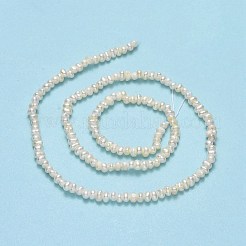 天然養殖淡水パールビーズ連売り  ケシパールビーズ  ナゲット  リネン  3~4x3x2~2.5mm  穴：0.5mm  約156~163個/連  14.17~14.29''（36~36.3センチメートル）&nbsp;PEAR-A005-23-01