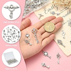 100 個のチベットスタイル合金ペンダントセット  ミックスキーチャーム  アンティークシルバー  14~41x8~15x1~3mm  穴：1~3.5mm&nbsp;TIBEP-CJ0003-19