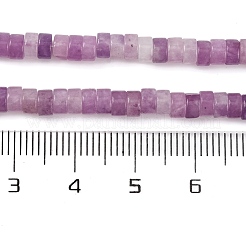 天然レピドライト/パープルマイカストーンビーズ連売り  ディスク  ヒシビーズ  4x3mm  穴：1mm  約166個/連  15.35''（39センチメートル）&nbsp;G-NH0001-F04-01