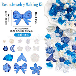 100G Resin Jewelry Making Finding Kits&nbsp;FIND-TA0004-42B