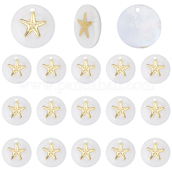40Pcs Natural Freshwater Shell Pendants&nbsp;SHEL-SC0002-04