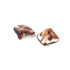Natural Freshwater Shell Beads&nbsp;BSHE-S028-3