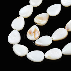 Natural White Shell Beads Strands&nbsp;PBB263Y-1
