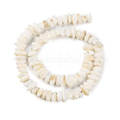 Natural Anomaly Freshwater Shell Beads Strands&nbsp;BSHE-S304-05C