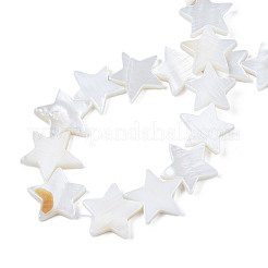 Natural Freshwater Shell Beads Strands&nbsp;SHEL-S278-01D-01