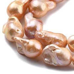 Natural Nucleated Pearl Beads Strands&nbsp;PEAR-B004-15C-04E