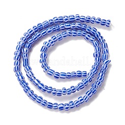 Handmade Lampwork Beads Strands&nbsp;BLOW-K001-01A-06