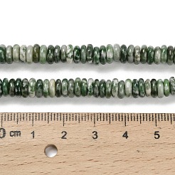 Natural Green Spot Jasper Beads Strands&nbsp;G-Q159-B35-01