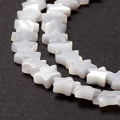 Natural Trochid Shell/Trochus Shell Beads&nbsp;SSHEL-O001-25A-01