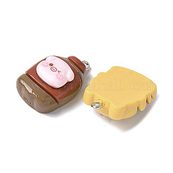 16Pcs 16 Styles Opaque Resin Pendants&nbsp;RESI-V001-03