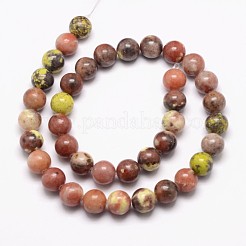 Natural Plum Blossom Jasper Beads Strands&nbsp;G-A163-02-6mm