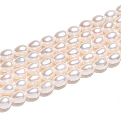 天然養殖淡水パールビーズ連売り  ライス  乳白色  5~5.5x4~4.5mm  穴：0.6mm  約72~73個/連  14.57~14.84''（37~37.7センチメートル）&nbsp;PEAR-N012-04Y