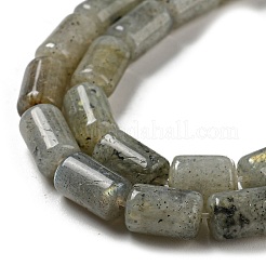天然石ラブラドライトビーズ連売り  コラム  10x6mm  穴：0.8mm  約40個/連  15.67''（39.8センチメートル）&nbsp;G-M420-E01-03