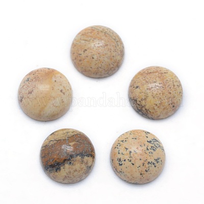 Natural Picture Jasper Cabochons&nbsp;G-P393-R51-12MM-1