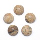 Natural Picture Jasper Cabochons&nbsp;G-P393-R51-12MM-1