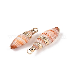 Natural Sea Shell Pendants&nbsp;SSHEL-N038-35