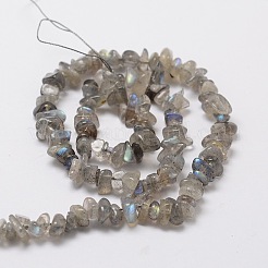 天然のラブラドライトさざれ石のビーズ連売り  5~8x5~8mm  穴：1mm  約32インチ&nbsp;L-G-M298-06