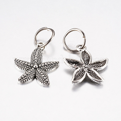合金のチベット風チャーム  ヒトデ/海星  アンティークシルバー  22.5x19x3mm  穴：7.5mm&nbsp;PALLOY-F199-19AS