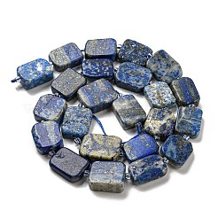 Natural Lapis Lazuli Beads Strands&nbsp;G-Z043-A07-01