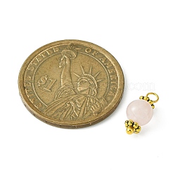 Natural Mixed Gemstone Round Charms&nbsp;PALLOY-JF02219