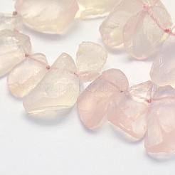 Natural Rose Quartz Strands&nbsp;G-K202-16