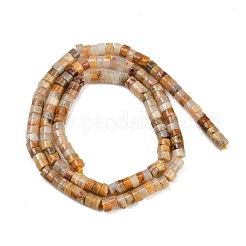 Natural Crazy Agate Beads Strands&nbsp;G-H230-82