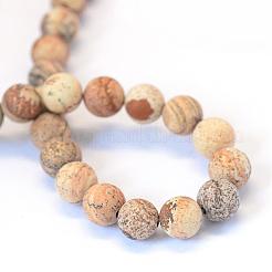 Frosted Natural Picture Jasper Round Bead Strands&nbsp;G-E334-8mm-26