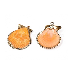 Electroplate Natural Scallop Shell Pendants&nbsp;SSHEL-Q100-20KCG