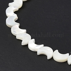 Natural Trochid Shell/Trochus Shell Beads Strands&nbsp;SSHEL-N032-25A