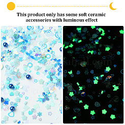 Ornament Accessories&nbsp;DIY-SC0030-55D