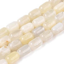 天然ホワイトムーンストーンビーズ連売り  コラム  9~9.5x6mm  穴：0.9~1mm  約42~43個/連  15.24~15.8''（38.7~39.5センチメートル）&nbsp;G-G980-27