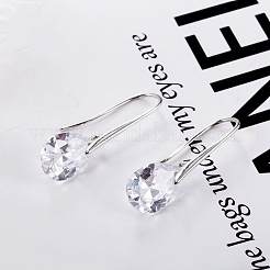 Platinum Tone Stainless Steel Dangle Earrings&nbsp;EJEW-EE0002-06A