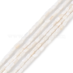 天然淡水貝殻染めビーズ連売り  コラム  シーグリーン  4.8x3mm  穴：0.8mm  約78個/連  14.96''（38センチメートル）&nbsp;SHEL-M018-12-12