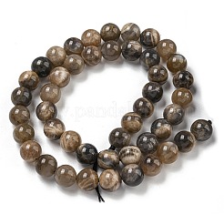 天然石ブラックムーンストーンビーズ連売り  ラウンド  8mm  穴：1.2mm  約46個/連  15.55''（39.5センチメートル）&nbsp;G-Q183-A01-01
