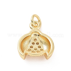 Brass Micro Pave Cubic Zirconia Charms&nbsp;KK-C012-44G