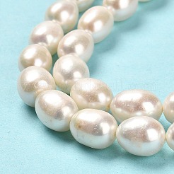 天然養殖淡水パールビーズ連売り  ライス  グレードaaaaaa  貝殻色  9.5~10x8~9mm  穴：0.6mm  約37~38個/連  14.76~15.16''（37.5~38.5センチメートル）&nbsp;PEAR-E016-193