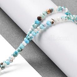 天然石ハウライトビーズ連売り  染め  多面カット  ロンデル  空色  3x2mm  穴：0.8mm  約171~176個/連  15.16~15.35''（38.5~39センチメートル）&nbsp;G-H025-03B-05