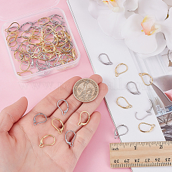 80Pcs 2 Colors 304 Stainless Steel Leverback Earring Findings&nbsp;STAS-ME0001-26